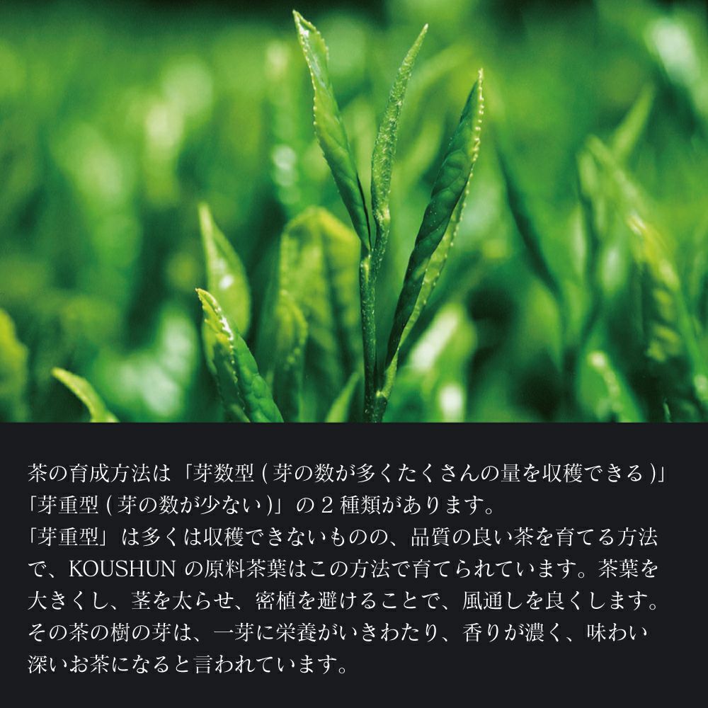 ボトリングティー（ボトルドティー）とは、ボトル（瓶）から、注ぐだけで本格的な日本茶や紅茶をお愉しみいただける高級茶です。